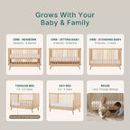 3-in-1 Convertible Crib